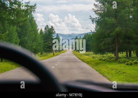 Vue de la route à travers les yeux du conducteur de la voiture. La conduite sur l'autoroute dans la forêt entre les arbres verts Banque D'Images