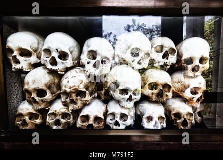 Les crânes de personnes tuées dans ces champs de la mort au centre mémorial de Choeung Ek, centre musée du génocide, Phnom Penh, Cambodge Asie Banque D'Images