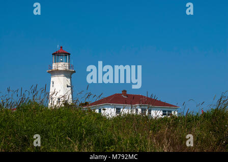 Phare de l'île Machias Seal altérés par une chaude journée d'été entouré par la végétation. Il n'est pas automatisé et est occupée par les gardiens. Banque D'Images