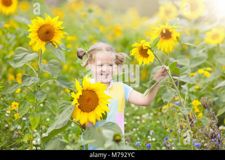 Enfant jouant au champ de tournesol par beau jour d'été. Les enfants jouent avec des tournesols. Little girl picking soleil fleurs dans jardin d'été. Les enfants au jardinage. Banque D'Images