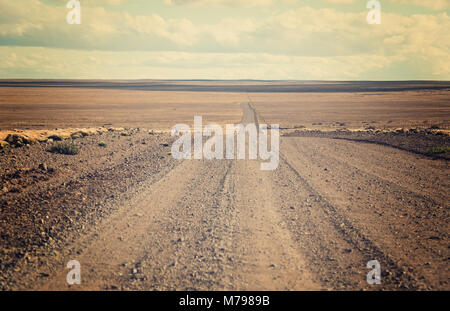 Vues de paysages de steppe, nature de Pampas sur journée d'été. En Patagonie, Argentine, Amérique du Sud Banque D'Images