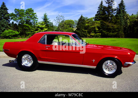 1968 Ford Mustang Banque D'Images