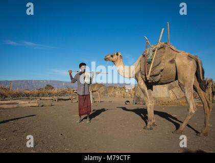 Afar tribe homme avec son chameau, région Afar, Ethiopie, Afambo Banque D'Images