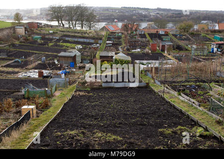 Les allocations de Berwick-upon-Tweed en Angleterre. Les jardins donnent sur la rivière Tweed. Banque D'Images
