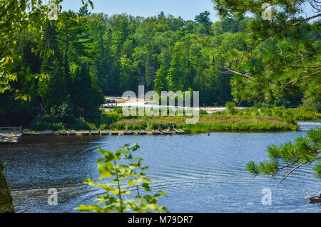 Tahquamenon Falls State Park, Michigan Banque D'Images