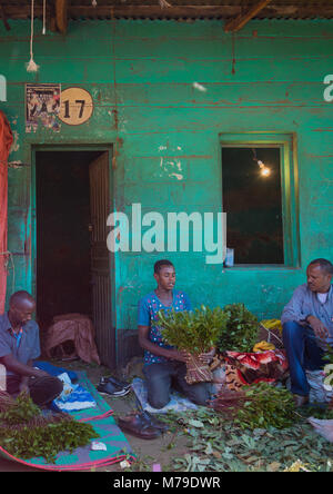 Les vendeurs de khat le khat awaday en marché près de Harar, la capitale mondiale du khat, Harari, région de l'Éthiopie, Awaday Banque D'Images