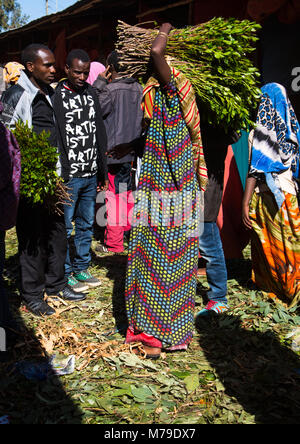 Khat le khat awaday en trading marché près de Harar, la capitale mondiale du khat, Harari, région de l'Éthiopie, Awaday Banque D'Images