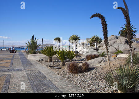 L'Afrique, la Namibie, Lüderitz, Lüderitz bay, Waterfront, Robert Harbour, Port, mer, eaux, l'Atlantique, port, jardin, plantes, rochers, arbres, arbustes, tourisme, soleil, ciel, bleu, les plantes, les gens, les touristes, Banque D'Images