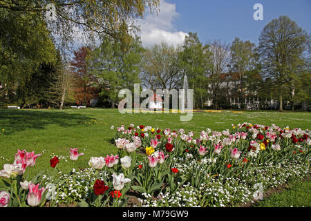 Allemagne, Hesse, Bad Salzschlirf près de Fulda, parc thermal, parterres, tulipes, fontaine, pavillon, printemps, Banque D'Images