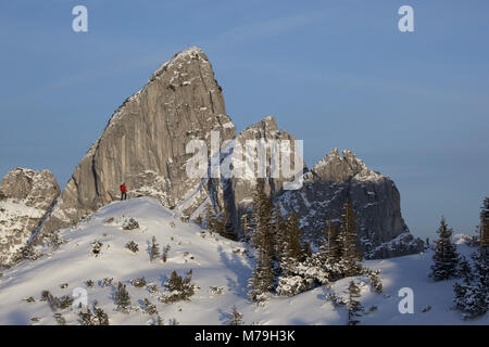 Walker d'en face de l'Ruchenköpfen, Mangfallgebirge, Alpes bavaroises, Allemagne, Banque D'Images