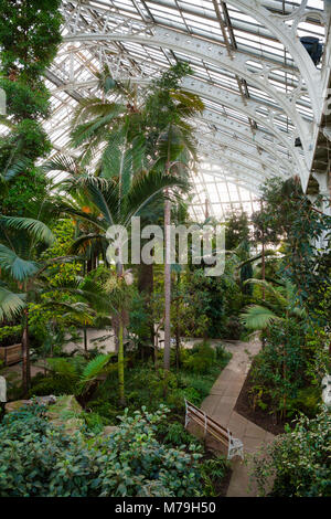 Palm House victorienne de l'intérieur serre tropical exotique avec des arbres et des plantes, le jardin botanique de Kew Gardens, au sud-ouest de Londres, Royaume-Uni, UNESCO World Heri Banque D'Images