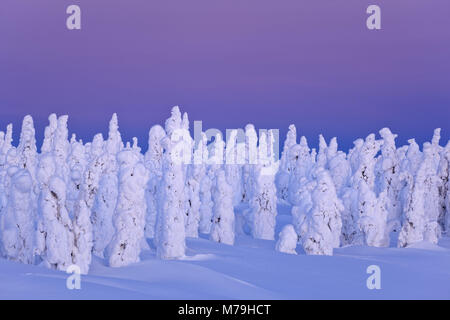 Amérique du Nord, les États-Unis, l'Alaska, l'Alaska, James Dalton Highway, paysage d'hiver, Banque D'Images