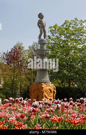 Allemagne, Hesse, Bad Salzschlirf près de Fulda, parc thermal, eh bien, parterres, fleurs de printemps, Banque D'Images