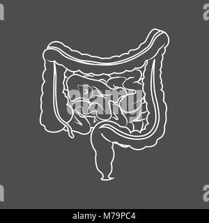 Système digestif humain intestins intestin anatomie schéma du tube digestif. Contour monochrome de l'intestin Illustration de Vecteur