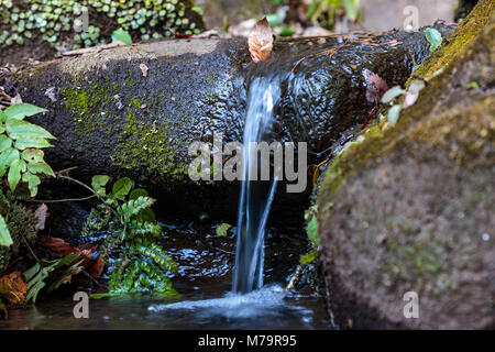 Un petit ruisseau coule sur des roches dans un grand parc forestier public à Zama, au Japon Banque D'Images
