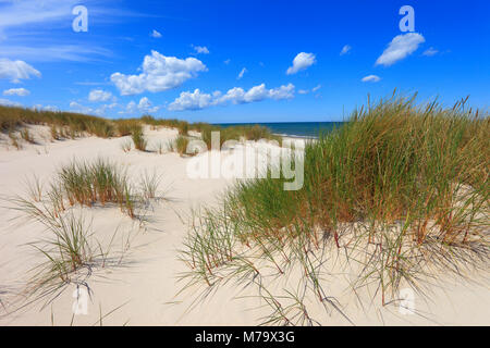 Les dunes de sable et plage de la mer Baltique côte centrale près de la ville de Gdansk en Pologne Banque D'Images