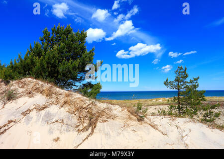 Dunes de sable couvertes d'herbe sèche et des arbres et de la plage de la mer Baltique côte centrale près de la ville de Gdansk en Pologne Banque D'Images