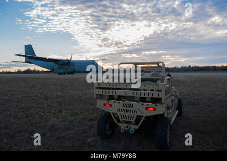 Les Forces aériennes de l'OTAN et des soldats U.S. Army Special Operations conduite RAPIDs, l'infiltration rapide, la formation, l'exfiltration à Hurlburt Field, Floride le 26 février 2018. Au Emerald Warrior, le plus important d'opérations spéciales interarmées et interalliées, exercice U.S. Special Operations Forces commande former pour répondre aux différentes menaces dans toute la gamme des conflits. (Photo par un membre de la 1re classe Kristen Heller) Banque D'Images