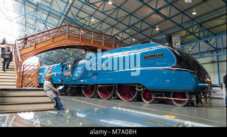 Locomotive vapeur Mallard exposée au National Railway Museum à York England UK. Banque D'Images