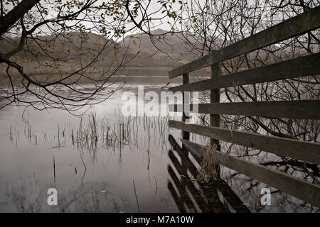 Clôture sur le rivage d'Ullswater, Lake District, en Angleterre à l'automne Banque D'Images