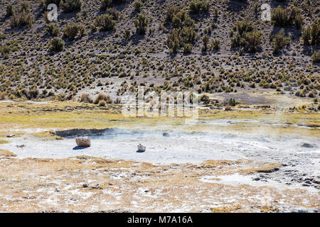 Communauté andine des geysers. Junthuma geysers, formé par l'activité géothermique. La Bolivie. Les piscines thermales permettent à un environnement sain et le bain médicinal pour les touristes Banque D'Images