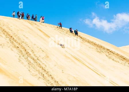 Sand-boarding sur dunes par le flux de Te Paki, près de quatre-vingt-dix Mile Beach, North Island, New Zealand Banque D'Images