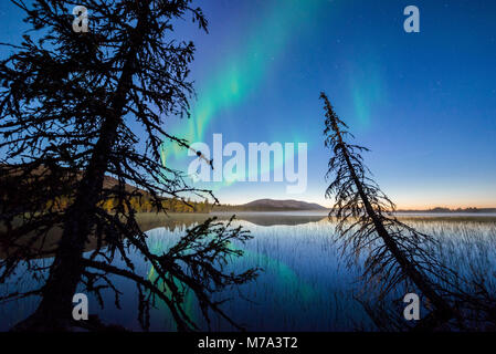 Northern Lights au lac Pallasjärvi, Parc National de Pallas-Yllästunturi. Muonio, Laponie, Finlande. Banque D'Images