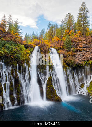 Belle cascade en automne, les arbres verts et jaunes à McArthur-Burney Falls Memorial State Park, dans le comté de Shasta, Californie du Nord. Banque D'Images