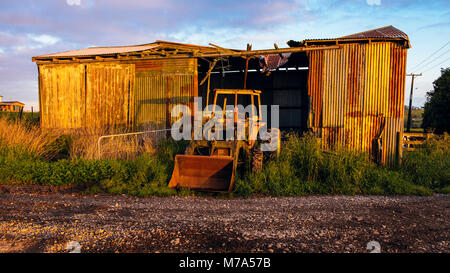 Ancien hangar et le tracteur sur une ferme près de Kerikeri, île du Nord, Nouvelle-Zélande Banque D'Images