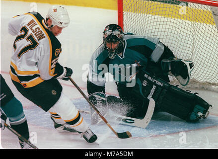 Les Sharks de San Jose gardien STEVE SHIELDS REND L'ENREGISTRER SUR Boston Bruins LANDON WILSON au Fleet Center de Boston MA USA Mars 21, 1999 PHOTO BILL BELKNAP Banque D'Images