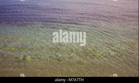 Arrière-plan de la mer en surface clair transparent. L'eau peu profonde, vue ci-dessus Banque D'Images