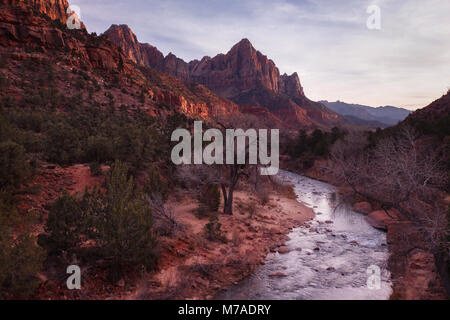La sentinelle dans le coucher du soleil, le parc national de Zion Banque D'Images