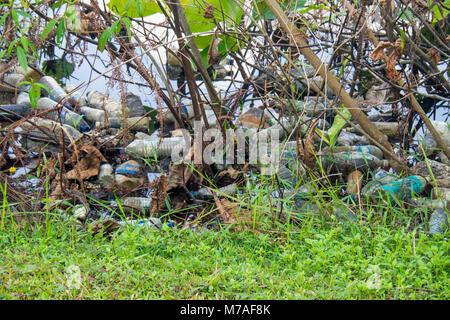 Les bouteilles en plastique pollue la rive du lac artificiel dans la carrière de Ketam rempli sur l'île de Palau Ubin, Singapour. Banque D'Images