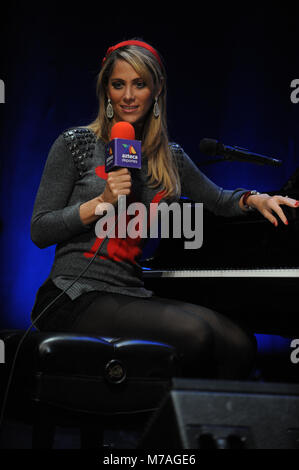 NEW YORK, NY - 30 janvier : Inconnu assiste à la Pepsi Super Bowl XLVIII Halftime Show Conférence de presse au Rose Theatre, Jazz at Lincoln Center le 30 janvier 2014 à New York City les gens : Inconnu Banque D'Images