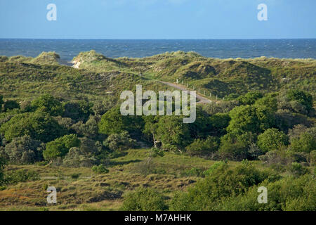 Vue depuis la grande dune de lookout sur dunes et forêt de l'île de Baltrum est de la frise à la mer du Nord. Banque D'Images
