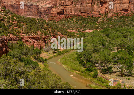 Les USA, Utah, Washington County, Springdale, Zion National Park, Zion Canyon, vallée de la Virgin River, vue depuis le sentier de Kayenta Banque D'Images