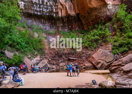 Les USA, Utah, Washington County, Springdale, Zion National Park, Zion Canyon, Upper Emerald Pools Banque D'Images