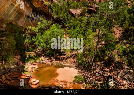 Les USA, Utah, Washington County, Springdale, Zion National Park, Zion Canyon, Emerald Pools Banque D'Images