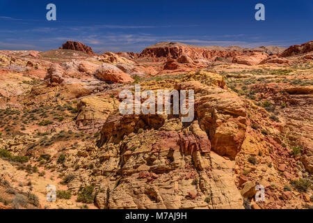 Les USA, Nevada, comté de Clark, Overton, Vallée de Feu, des formations rocheuses du parc sur les dômes blancs Scenic Byway Banque D'Images