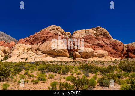 Les USA, Nevada, comté de Clark, Las Vegas, Red Rock Canyon, Calico Hills, Carrière de grès Banque D'Images