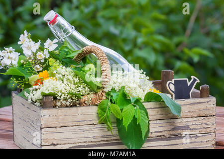 Les herbes, les plantes médicinales du schnaps Banque D'Images