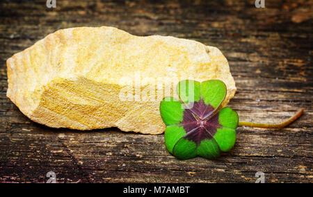 Trèfle à quatre feuilles et lucky stone sur bois Banque D'Images