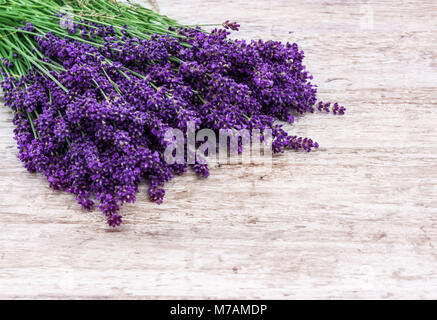 Bouquet de lavande Banque D'Images