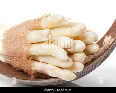 L'asperge blanche sur la feuille de palmier Banque D'Images