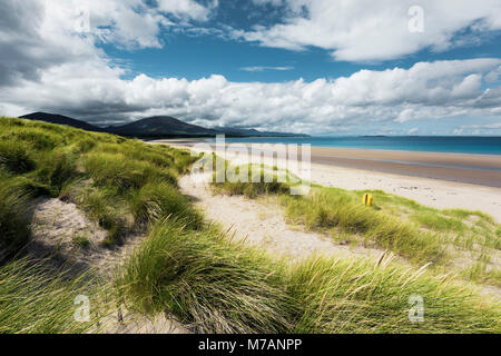 Scène de plage avec de l'herbe des dunes près de Trallee Bay, Kerry, Irlande Banque D'Images