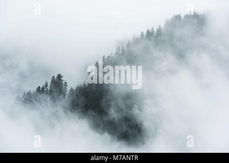 Misty ambiance dans les cols alpins avec téléobjectif, Italie Banque D'Images