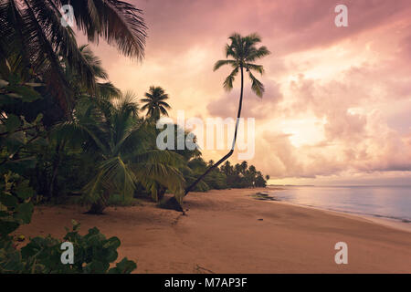 Plage de rêve des Caraïbes dans le coucher du soleil, Punta Vacia, Porto Rico