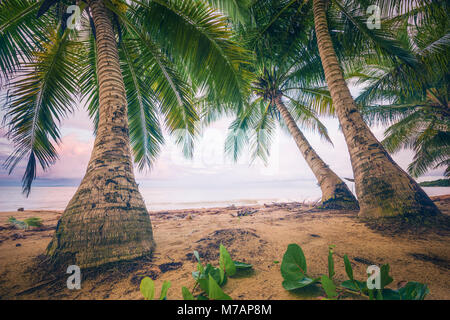 Scène de plage dans un style rétro sur l'île des Caraïbes Puerto Rico Banque D'Images