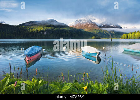 Scène idyllique sur le Lac de Sils en Engadine près de Saint-moritz, Alpes Suisses, des bateaux, de l'eau bleu avec reflet dans la lumière du matin Banque D'Images