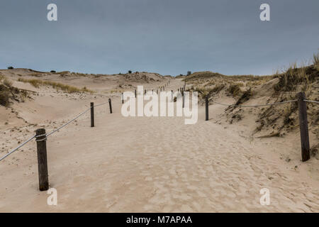 L'Europe, la Pologne, la Poméranie, déplacement des dunes dans le Parc National de Slowinski Banque D'Images